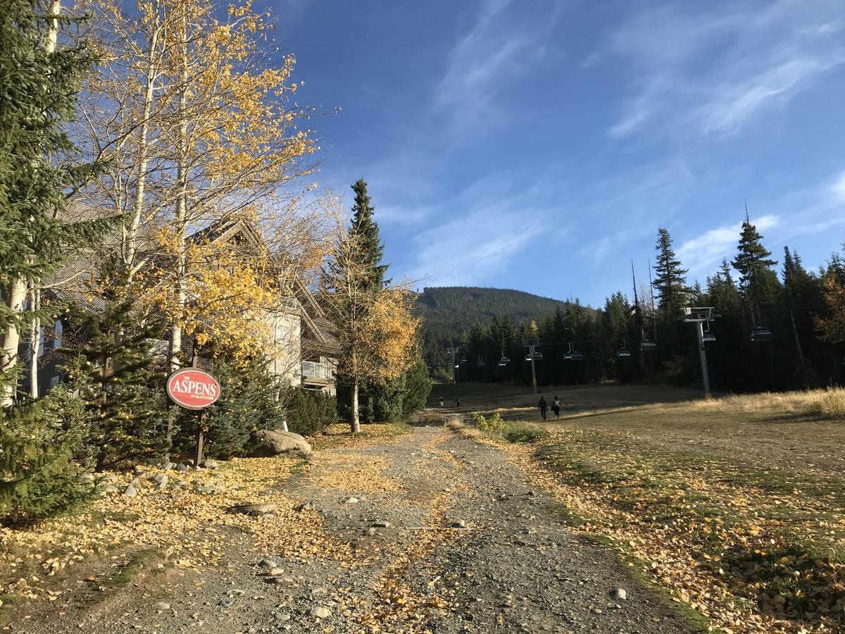The Best Top Floor Ski-In/Ski-Out At The Aspens Уислър Екстериор снимка